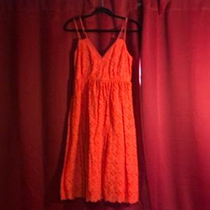 Beautiful Coral cotton JCrew dress
Daisy Eyelet, pockets. Lined, zips